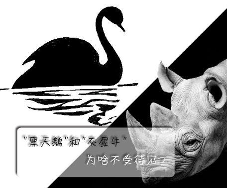 "黑天鵝"和"灰犀牛"為啥不受待見？