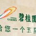碧桂園5月銷售51億 加碼商業