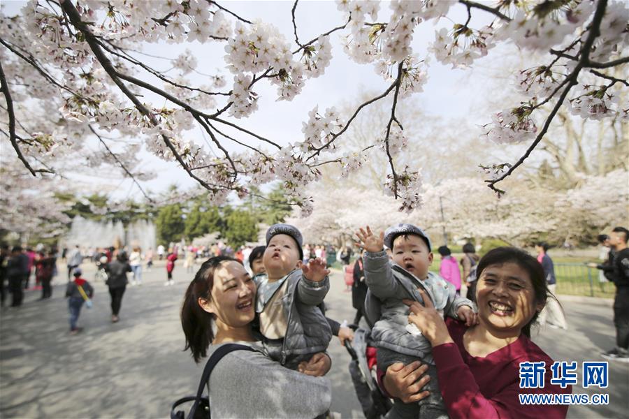 #（環境）（5）花開在四月