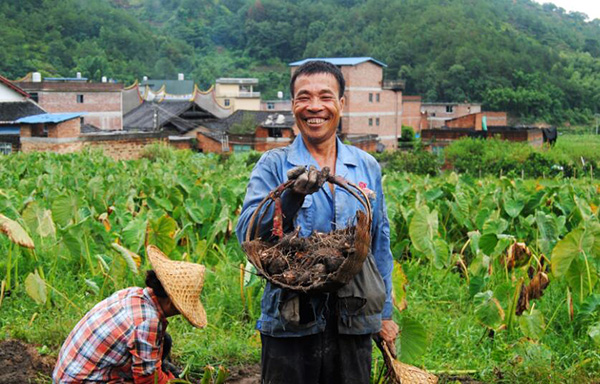 秋收的中國(guó)，你想象不到的美！但更美的是……