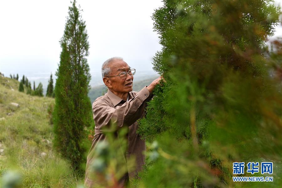 (在習(xí)近平新時(shí)代中國(guó)特色社會(huì)主義思想指引下——新時(shí)代新作為新篇章·圖文互動(dòng))(5)中條山下綠意濃——一個(gè)“資源窮縣”的生態(tài)發(fā)展之路