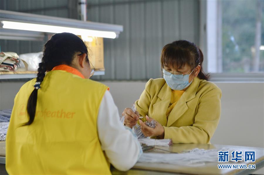 （圖文互動）（2）人回鄉、錢回流、企回遷——一個大石山區貧困縣的返鄉創業故事 