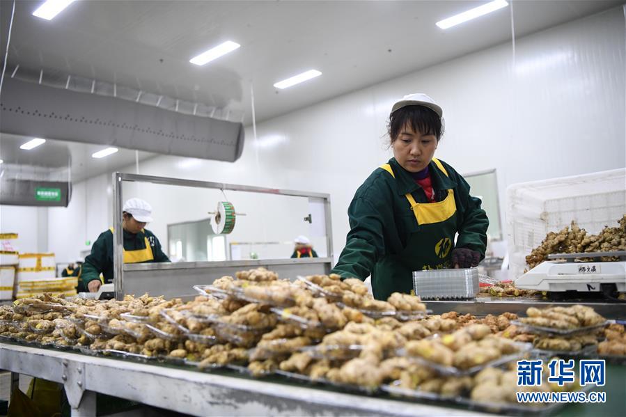 （在習(xí)近平新時代中國特色社會主義思想指引下——新時代新作為新篇章·總書記關(guān)切高質(zhì)量發(fā)展·圖文互動）（3）穩(wěn)住“一頭豬”、供好“一袋米”、配好“一籃菜