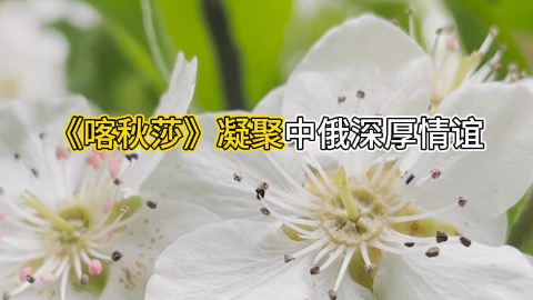 《喀秋莎》凝聚中俄深厚情誼