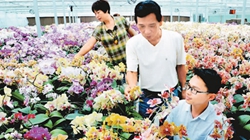 臺商眼中的改革開放：風景這邊獨好 要去，要去，要去！