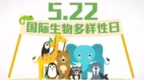 國際生物多樣性日：讓每個人從點(diǎn)滴做起